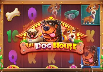 Chaos Crew в каталоге площадки